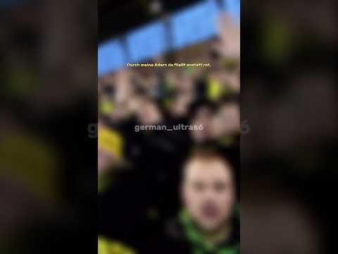 Es war Liebe auf den ersten Blick…BVB09💛🖤 #germany #ultras #fangesang#dortmund#borussia #bvb09#fyp