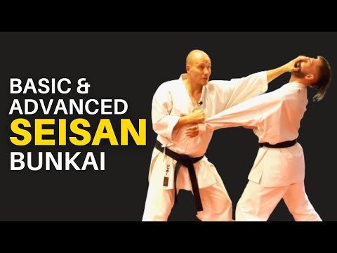 Seisan Bunkai: Basic and Advanced