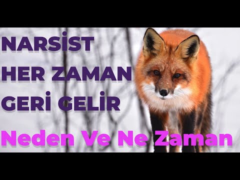 Even If They've Left Them, The Narcissist Always Comes Back. But Why and When?