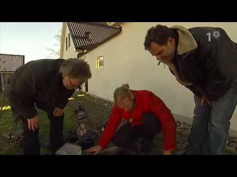 Mitt i Naturen: Ålen i brunnen