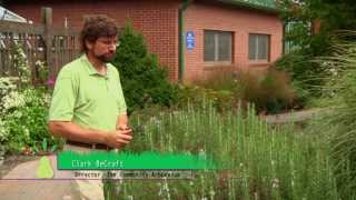 preview picture of video 'Food for Thought Garden Tips: Propagation  Part 1'