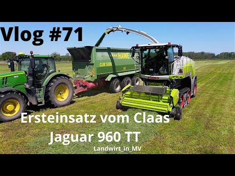 Vlog #71 First use of our Claas Jaguar 960 TT, how well is it doing?