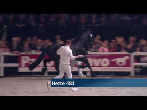 Hengstenkeuring 2018: Kampioenskeuring Jongere hengsten