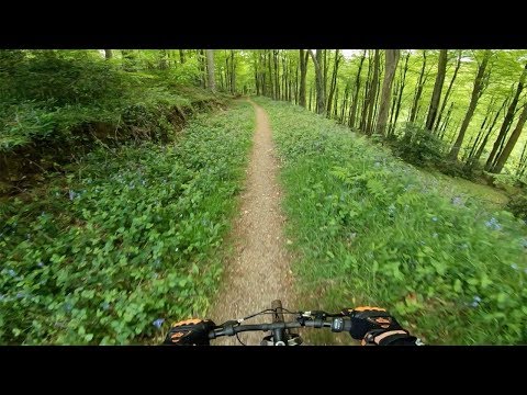 FULL KINGS CLIFF MTB TRAILS TOUR + PETHY PUMPTRACK