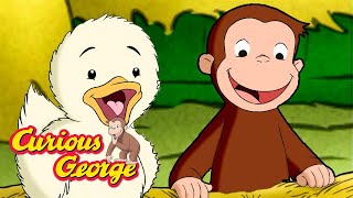 George's Duckling Friends! 🐵 Full Episodes | Curious George