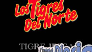 Nos Estorbo la Ropa__Los Tigres del Norte  en Los Mochis en Vivo (Año 2005)
