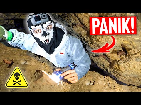 MOJI am LIMIT! Wir kriechen durch WWII-TRÜMMERHAUFEN🪨 Auf der SUCHE nach MUNITIONSLAGER!