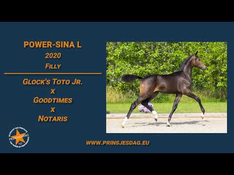 Power–Sina L (Glock's Toto Jr. x Goodtimes) – www.prinsjesdag.eu