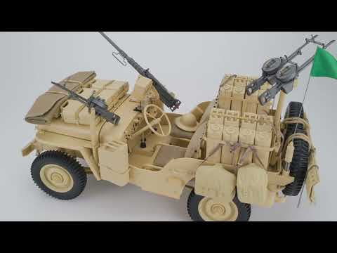 CBD for Cats Video Preview