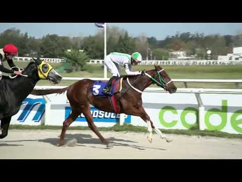 230722 c06 - KING CASTLE - HIPODROMO LAS PIEDRAS