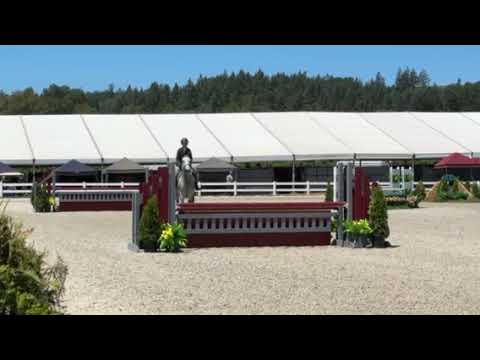 Colman WH video 3