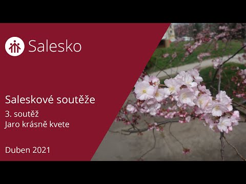Salesková soutěž č. 3: Jaro krásně kvete 12.05.2021