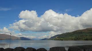 Grapevine by Emma Forman