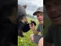 Hilarious Bears 🤣 #animals #coolanimals #bear #amazinganimals #animalworld
