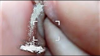 Download lagu LOVE WAALI FEELING | ARIJIT SINGH, VISHAL MISHRA, SACHET-PARAMPARA, JUBIN NAUTIYAL, PAYAL DEV mp3 Download lagu LOVE WAALI FEELING | ARIJIT SINGH, VISHAL MISHRA, SACHET-PARAMPARA, JUBIN NAUTIYAL, PAYAL DEV mp3