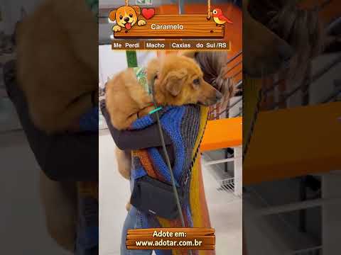 Vídeo de Caramelo
