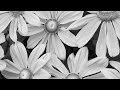 Chase Shakur,Girlfriend-Where Da Luv