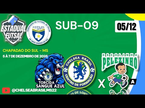 ESTADUAL DE FUTSAL I CHELSEA BRASIL MS A VS PELEZINHO A I SUB-09