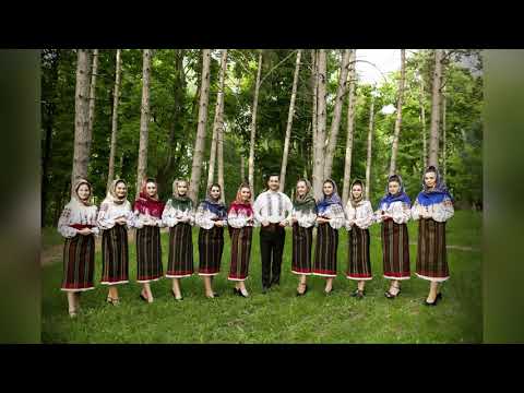 Bădișor cu pălărie - Ansamblul etnofolcloric "Ciucurel"