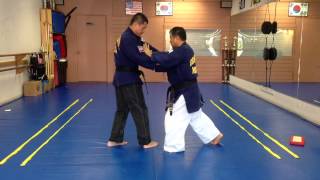 Hapkido Front Chest Grab Judo Throw Defense 10