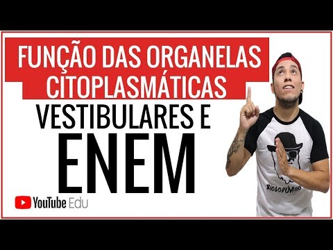 AULA AO VIVO: FUNÇÃO DAS ORGANELAS CITOPLASMÁTICAS - Biolodúvidas Pré-vestibular