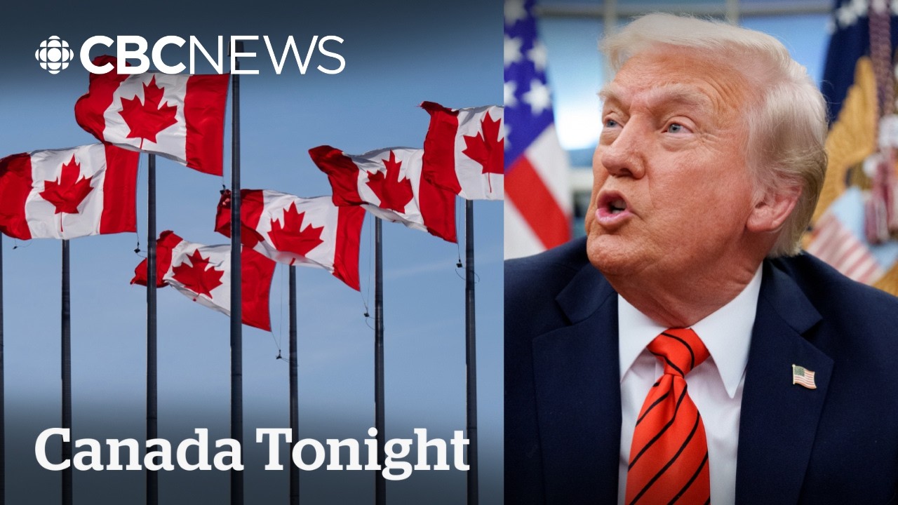 Canadian flag sales surge — even across the border: seller | Canada Tonight