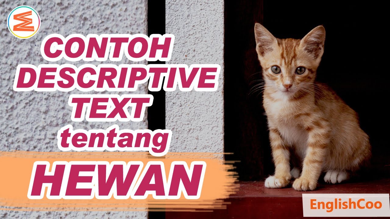 Putar video DESCRIPTIVE TEXT TENTANG HEWAN PELIHARAAN DALAM BAHASA INGGRIS | Cara Mendeskripsikan Kucing (Cat) sekarang DESCRIPTIVE TEXT TENTANG HEWAN PELIHARAAN DALAM BAHASA INGGRIS | Cara Mendeskripsikan Kucing (Cat)