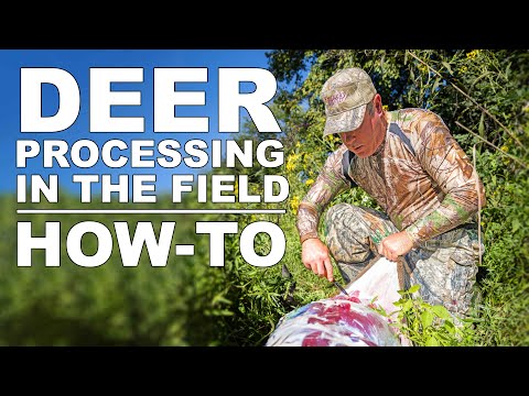 How to Process or Debone a Whitetail Deer in the Field