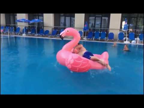 Killermichel springt auf Flamingo im Pool 🦩