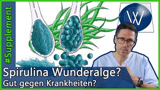 Wunderalge Spirulina: Welche Auswirkungen hat das Superfood auf Immunsystem & unsere Gesundheit