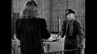 Cat People Why Try to Change Me Now, Fiona Apple