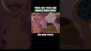 원피스) 빅맘이 훔친 악마의 열매 먹방하고 도망친 카이도