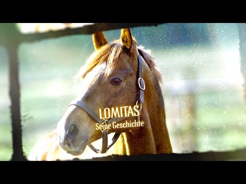 Dokumentation über Lomitas und Monty Roberts