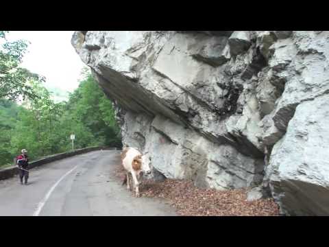 Cazare Busteni Ieftina - Cazat.ro