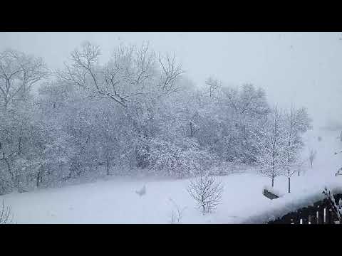 Enjoy 1 Minute of Beautiful, Peaceful, Heavy Snow Storm