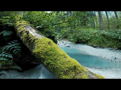 Megapixel   Lasse Lyx