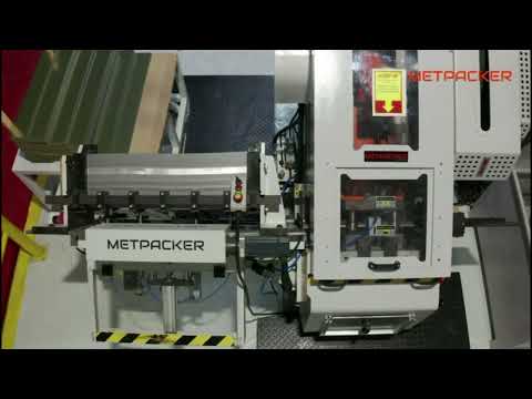 Strip Feed Press (Servo System)