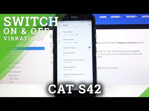 How to Access Vibration Settings in Cat S42 - Enable/Disable Vibrations for Incoming Calls