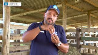 Miniatura do vídeo