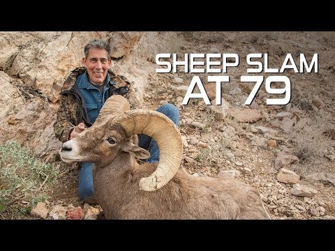 79 Year Old Completes His Sheep Slam after 52 Years.