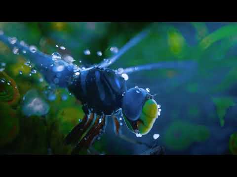 [7.1 HOME THEATER DEMO] DOLBY ATMOS THX GEN DEEPNOTE 7.1DTS HDMA 4K | ENCODED TRAILERS | THX | DOLBY