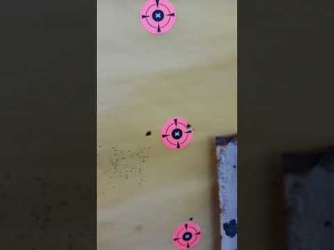 Two zeros with the Umarex Fuel .22 caliber