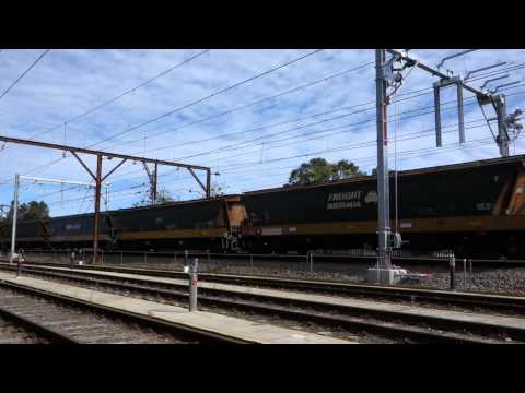 5136 Grain with 81 / X / X