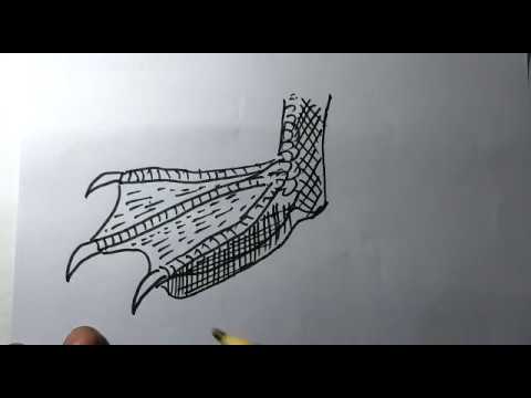 download lagu mp3 mp4 Duck Claws, download lagu Duck Claws gratis, unduh video klip Duck Claws