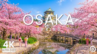 Osaka in Spring 4K - Relaxing Music With Beautiful Natural Landscape - 4K Video UHD