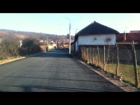 Pasjane decembar 2013