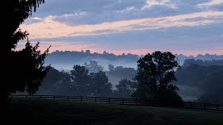 Joan Baez - Fare Thee Well (Ten Thousand Miles)  [HD]+