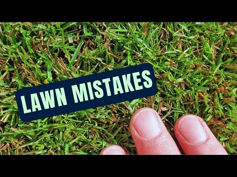 Top 22 Lawn Care Mistakes To Avoid in 2025