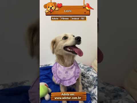 Vídeo de Layla