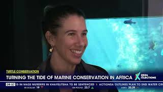 Turtle conservation | Turning the tide of marine conservation in Africa